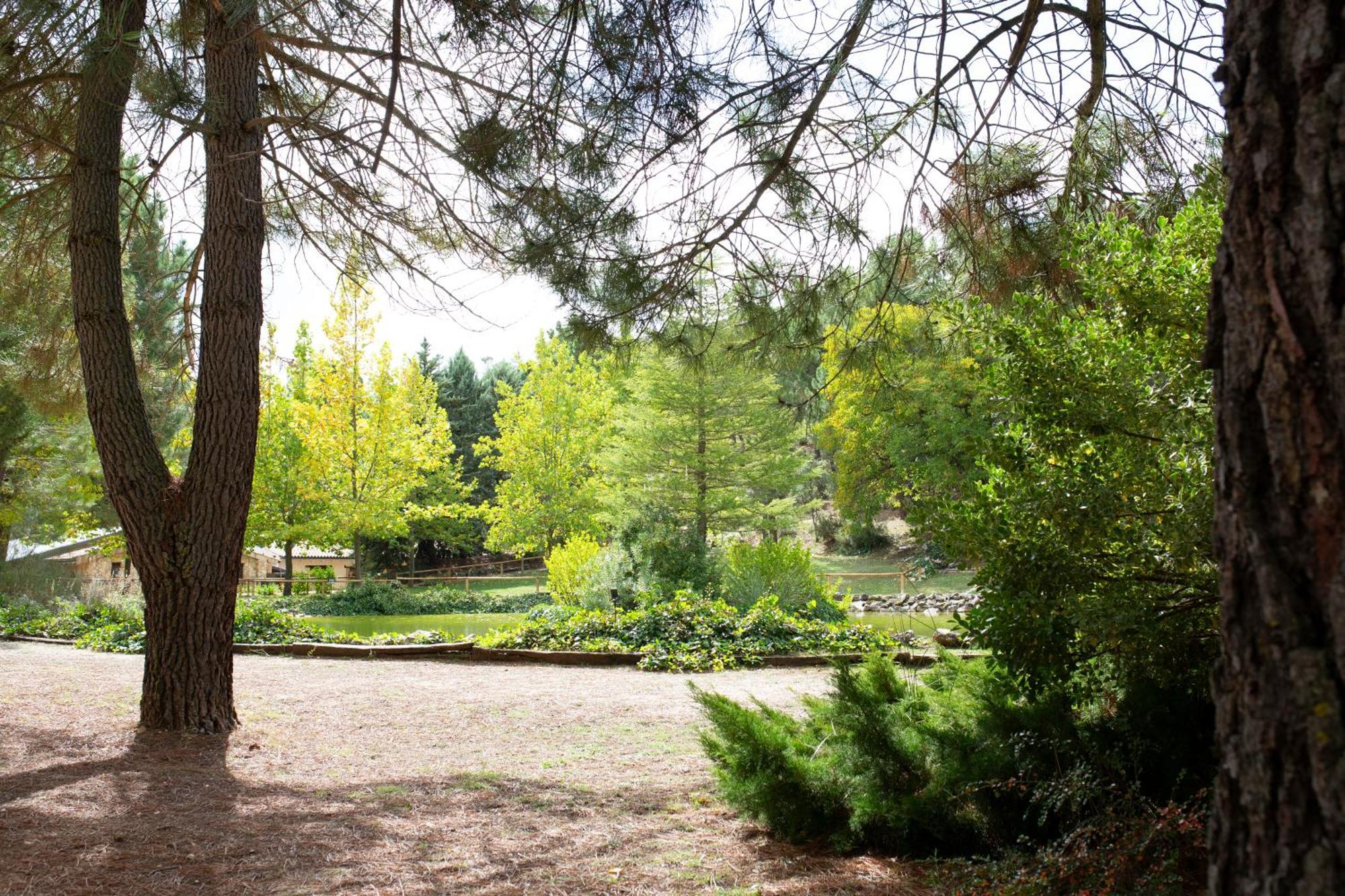 Casa Rural Riopar, Luxury In Nature Exteriér fotografie